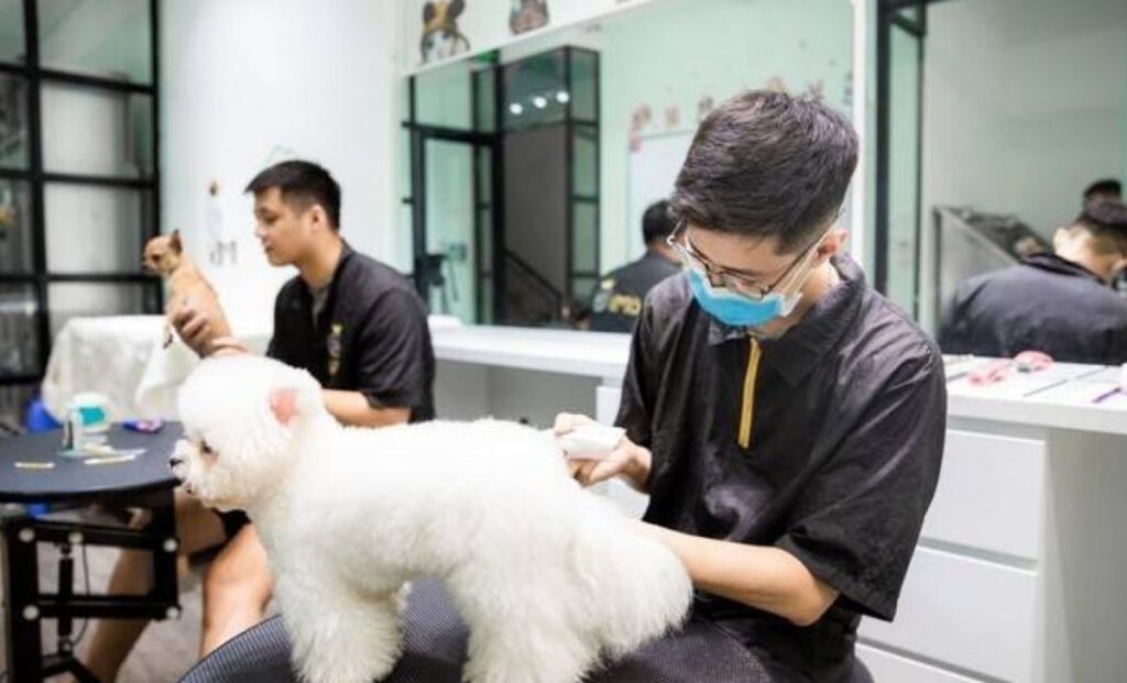 Chăm sóc thú cưng tại nhà